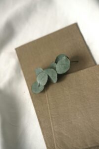 A minimalist composition with eucalyptus leaves on textured beige linen fabric background.
